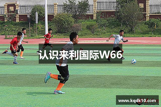 常见的问题解答